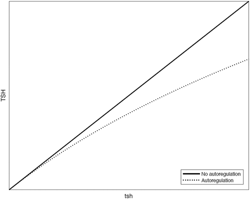 Figure 4. The calculated effect of autoregulation on the relationship between tsh and TSH levels.