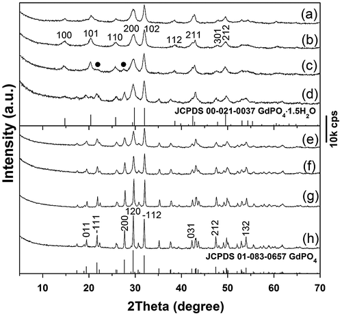 Figure 7. Powder XRD patterns for sample S5 (a) and the products calcined from S5 at: (b) 500, (c) 600, (d) 800, (e) 900, (f) 1000, (g) 1100, and (h) 1200 °C. The black dots in (c) denote monoclinic phosphate.