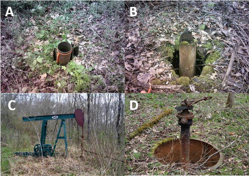 Figure 4. Hillman State Park wells 36 (A), 40 (B), 125 (C) and 130 (D).