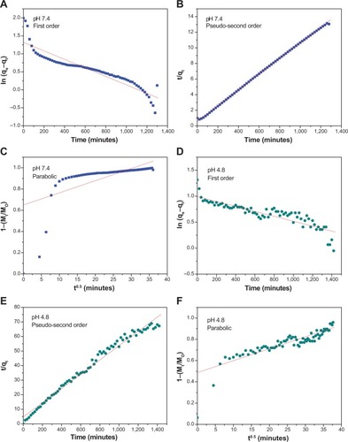 Figure 9 Fits of betulinic acid release data for oxidized multiwalled carbon nanotube nanocarrier at pH 7.4 and 4.8 using pseudo-first, pseudo-second order kinetics, and parabolic diffusion model.