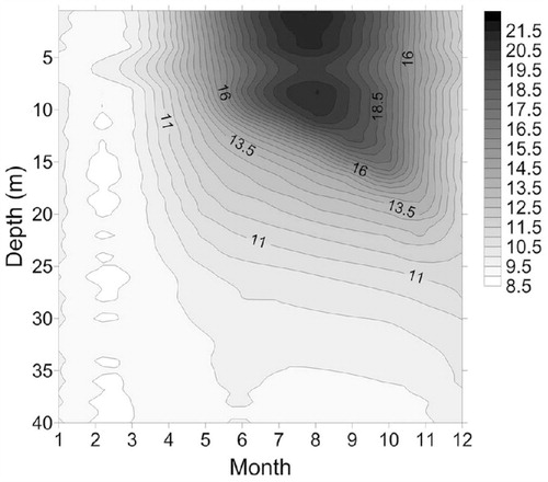 FIGURE 2. Temperature isopleths in °C for Lugu Lake from January to December 2011.