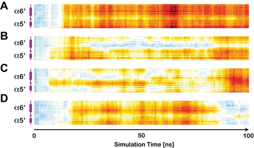 Figure 3. All-residue RMSD calculation within the GluN2B segment containing α5′ and α6′ represented as heat maps. In agreement with the results on the ligand-induced pore-radius alterations, ethanol (A) most strongly alters this pore-forming component of the ATD. The co-agonists glycine (B) and glutamate, similarly but less dominantly influence the conformation of this segment throughout the simulation. The concurrent interaction of glutamate and glycine in turn, stabilises the ATD and induces only a temporally limited response, vanishing towards the end of simulation period.