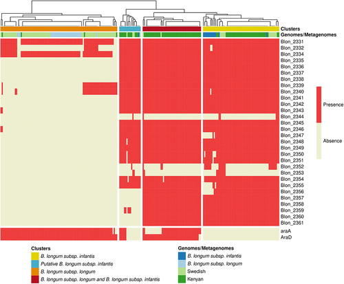 Figure 2. Identification of B. longum subsp. longum and B. longum subsp. infantis in metagenomes. Detection of genes related to B. longum subsp infantis (HMO clusters) and B. longum subsp. longum (araD and araA) in metagenomes from rural Kenyan and Swedish infants (dark and light green, respectively) and in reference genomes of B. longum subsp. longum and B. infantis. Clusters indicate the resulting stratification of metagenomes with the exclusive detection of B. infantis (yellow and blue) and B. longum subsp. longum (Orange) or the detection of both B. infantis and B. longum subsp. longum (red); clustering was performed by complete linkage analysis (Euclidean distance).
