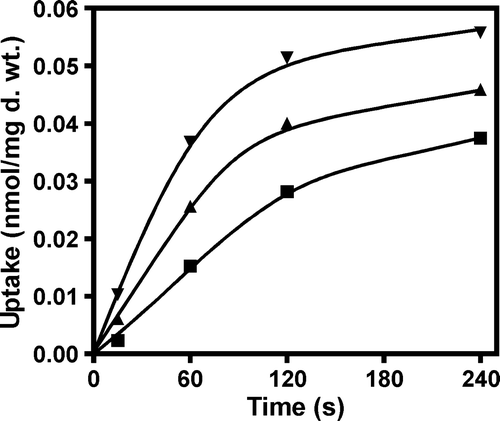 Figure 2.  Evaluation of the uptake rate of labelled lactate (▴), pyruvate (▪) and acetate (▾) (60 µM final concentration), in the strain S. cerevisiae W303-1A pDS-1. Cells were cultivated in glucose until mid-exponential growth phase, washed and transferred to YNB lactic acid for 4 h.