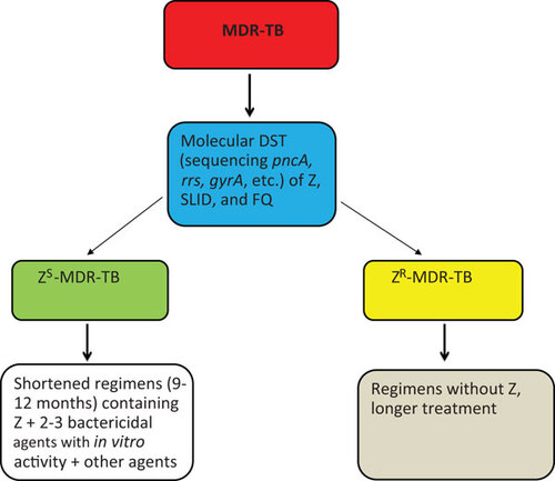 Figure 1 Classification of MDR-TB into PZA-susceptible and PZA-resistant MDR-TB and the potential to shorten the treatment of PZA-susceptible MDR-TB. DST, drug susceptibility test; Z, PZA.