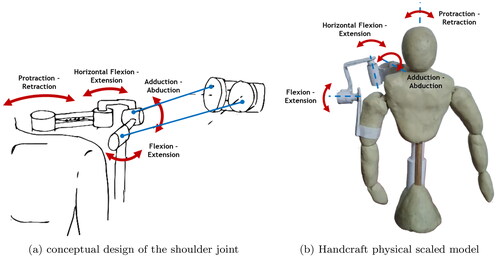Figure 4. Conceptual design and location of actuators of the shoulder joint.