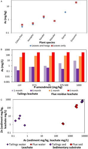 Figure 9. Environmental mobility of As and metals in Prohibition mine wastes. A, Arsenic uptake by various plant species growing on tailings. B, Experimental leaching of As (after 1 and 6 months) from samples of tailings and flue residues with a range of phosphorus amendments. C, Comparison of leaching of As and Zn from tailings and flue residue samples, in relation to the As and Zn contents of the substrates.