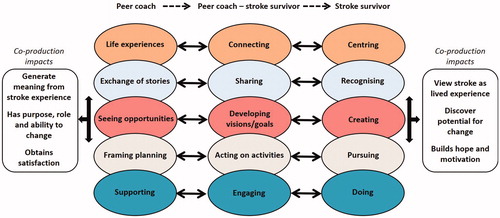 Figure 3. Initial framework showing the different phases that the peer and the stroke survivor experience as part of peer-led work.