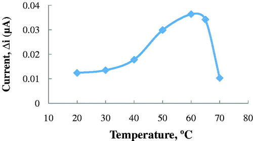Figure 4. The effect of temperature on the response of the biosensor (at pH 8.0, 2.5 × 10−6 M ACh at a +0.4 V operating potential).