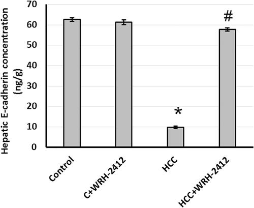 Figure 6. Effect of 5 mg/kg WRH-2412 on hepatic protein level of E-cadherin. Values are expressed as the mean ± SEM, *p < 0.05 vs. control; #p < 0.05 vs. HCC group; HCC: hepatocellular carcinoma; C; control.