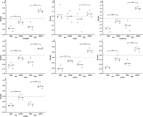 Figure 9. The expression of genes (a) TYROBP, (b) TLR8, (c) FCER1 G, (d) HCK, (e) NCF2, (f) CTSS, and (g) C3AR1, significantly up-regulated in the adipose of the 10-weeks obese diabetic mice. *** p < 0.001, ** p < 0.01, *p < 0.05