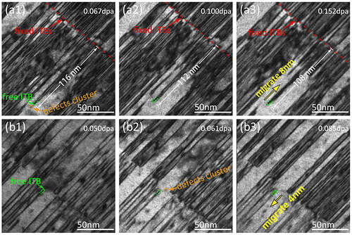 Figure 3. A series of BF TEM snapshots of irradiated Cu film were captured over a dose range of (a1–a3) 0.067–0.152 dpa and (b1–b3) 0.050–0.085 dpa. Fixed ITBs are labeled by a red dash line, and free ITB is labeled by a green dash line. Free ITBs migrating along opposite directions are observed. (a1–a3) The free ITB with the twin thickness of 4 nm migrates 8 nm to upper right direction by absorbing the radiation-induced defects clusters. (b1–b3) The free ITB with twin thickness of 3 nm migrate 4 nm, to lower left direction, by absorbing radiation-induced defects clusters. The figures without any annotations and optional lines are listed as the supplementary material.