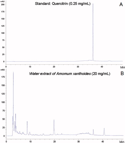 Figure 1. Fingerprinting analysis. Dissolution of water extract of A. xanthoides (WAX) and standard were filtered and subjected to HPLC analysis. (A) Standard: Quercitrin 2.5 mg/mL, 10 µL, (B) WAX 20 mg/mL, 10 µL.