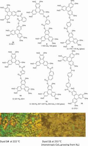 Figure 2. (Colour online) Structures and mesophase behaviour of triphenylene ester dyads (Hx = n-hexyl).