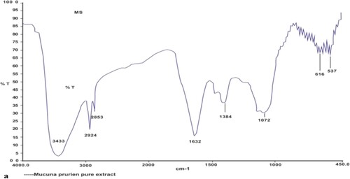 Figure 2. FTIR spectra of pure MP extract.