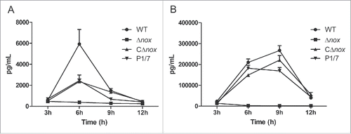 Figure 4. Time course of production of cytokines in mice infected with S. suis strains. A, Serum levels of TNF-α. Significant differences were found between Δnox and the WT strain, and between Δnox and CΔnox, from 6 h to 12 h (P < 0.01). B, Serum levels of MCP-1. Significant differences were found between the WT and the mutant from 3 h to 12 h, and between the CΔnox strain and the Δnox mutant from 6 h to 12 h (P < 0.01). Data are expressed as means with standard error of the median from 6 mice for each strain at each time point. Statistical analyses were performed using the Mann–Whitney test.