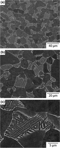 Figure 1. Backscattered electron images of the microstructure of the as-received material.