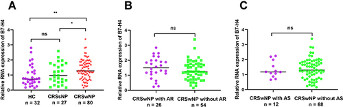 Figure 1 Comparison of tissue B7-H4 mRNA levels among CRSwNP, CRS and HC groups. (A) Tissue B7-H4 mRNA levels were increased in the CRSwNP group than the CRS and HC groups. (B) The expression levels of B7-H4 in the CRSwNP with AR group and CRSwNP without AR group. (C) Compared to CRSwNP without AS group, B7-H4 levels were also no significantly difference in the CRSwNP with AS group. *P<0.05, **P<0.01.