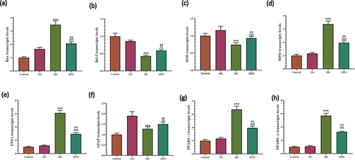 Figure 6. RT-PCR validation of peanut cytoprotective effect against diabetic related oxidative stress, inflammation, apoptosis and differentiation of brain neurons. Charts illustrated the significant effect of diabetes at RNA expression of BAX (a) Bcl-2 (b) SOD (c) MPO (d) TNFα (e) GFAP (f) PARP-γ (g) PARP-α (h) in brain of male rats, which was significantly opposed in rats that received dietary peanut (DN) compared to diabetic group. Each result represent the mean ± SD (n = 3); * indicated the significance at p < 0.05 compared to control group. $ indicated the significance at p < 0.05 compared to diabetic group. Abbreviations; C, Control; D, diabetes; N, Peanut; DN, diabetic and peanut supplemented group.