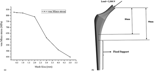 Figure 3. (a) Variation of the stress values with a change in mesh size; (b) Boundary Condition Location for Hip Stem Length of 120 mm < CT < 250 mm (ASTM, Citation2015)