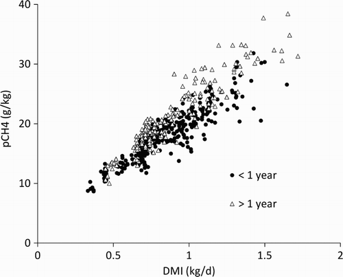 Figure 1 Methane production (pCH4) and dry matter intake (DMI) measured for animals <1 year (n = 311) and >1 year (n = 199).