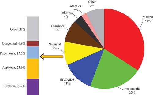 Figure 4. The top causes of mortality fractions among children under five years as derived by the InterVA-4 model.