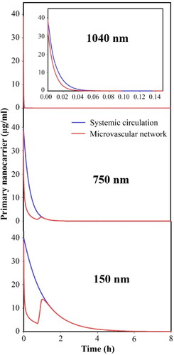 Figure 12. Temporal distribution of primary nanoparticles in circulation and tumor microvascular network.