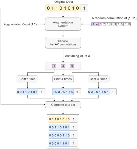 Figure 10. Augmentation process.