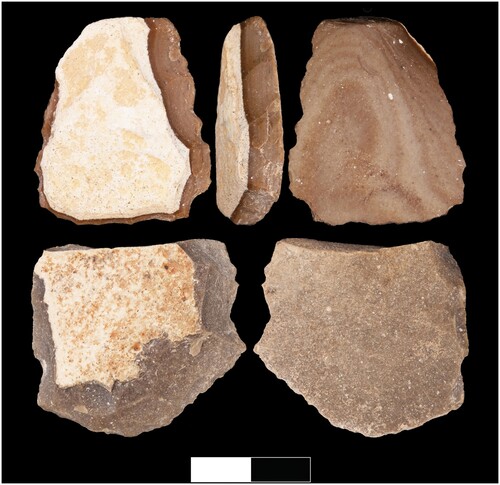 Figure 10 Tabular scrapers on chert. Scale is 2cm long.