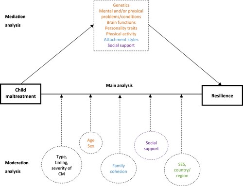 Figure 1. Conceptual framework of the proposed study. Potential moderators between CM and resilience in adulthood are represented by dashed line circles. The potential mediators in this association path are indicated in the dashed line square. The individual level is represented in orange font, the family level is represented in blue font, and the community level is represented in green font. This study will likewise focus on the multifaceted function of social support (potential moderator and/or mediator, family and/or community level) for the association between CM and resilience, represented in violet font. Abbreviations: CM = Child maltreatment, SES = Socioeconomic status