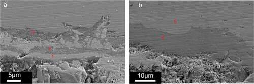 Figure 4. SEM cross section of sample, (a) under high oxygen, (b) under lower oxygen potential.