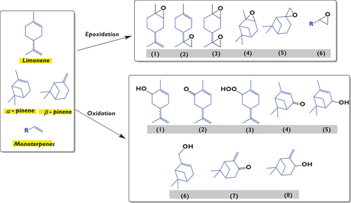 Figure 6. The most relevant oxidized and epoxidized products from commercial monoterpenes: Epoxidation: (1) 1,2-limonene-epoxide, (2) 8,9-epoxy-limonene, (3) limonene diepoxide, (4) α-pinene epoxide, (5) β-pinene epoxide, (6) other monoterpenes epoxides. Oxidation: (1) carveol, (2) carvone, (3) limonene-2-hydroperoxide, (4) verbenone, (5) verbenol, (6) myrtenol, (7) pinocamphone, (8) pinocarveol. *limonene-1.2-diol and 4-terpineol can be also obtained but after opening of limonene-1,2-epoxide by water.