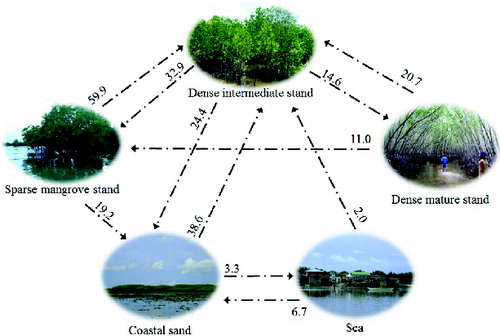 Figure 7. Major exchanges in area (%) among mangrove land uses between 1993 and 2004.