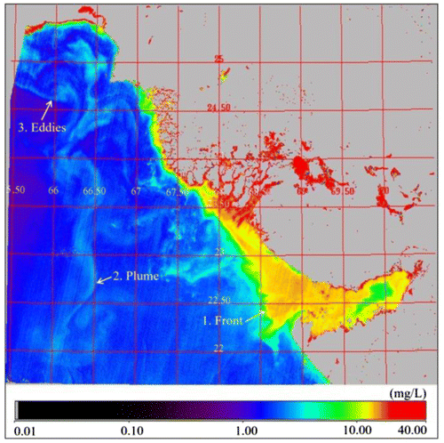 Figure 3. Suspended concentration in Oceansat-1 OCM Image of the North Coast of India.