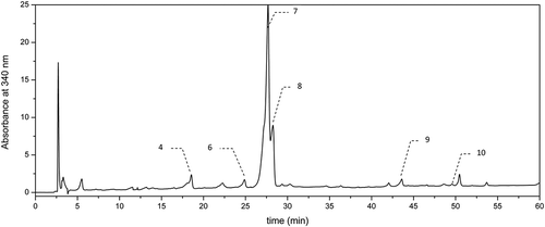 Figure 4. Chromatogram of dark beer Erdinger Weissbier after hydrolysis, at 340 nm.