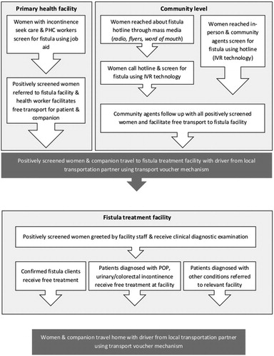 Figure 3. Intervention pathways.