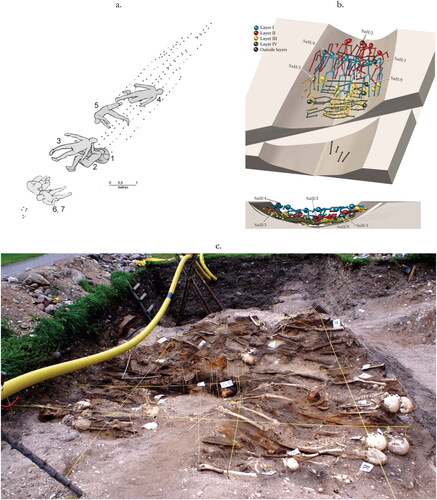 Fig 7 The 8th-century multiple burials at Salme I and Salme II in Estonia. (a) A possible reconstruction of the position of the bodies in Salme I. Their placements at the oars and helm are understood as reflection of their roles in the ship; (b–c) Position of the bodies in Salme II. In the northeastern part of the ship the remains of at least 34 individuals were arranged into four regular layers (coloured differently on the 3D model) that were separated by thin layers of soil and sand and were partly covered with shields. Illustrations taken from: (a) Allmäe Citation2012, fig 2; Reproduced with kind permission of the authors; (b–c) After Peets et al Citation2012, figs 10 and 12.