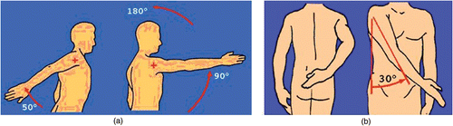 Figure 4. (a) Antepulsion and retropulsion movement. (b) Adduction movement. [Color version available online.]