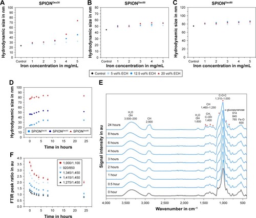 Figure 1 Iron concentration-dependent change in hydrodynamic size after the cross-linking procedure for 24 hours.Notes: SPIONDex with an initial size of ~30 nm, (A) SPIONDex30; 50 nm, (B) SPIONDex50; or 80 nm, (C) SPIONDex80, are shown. (D) Time-dependent change in hydrodynamic size during cross-linking process at an iron concentration of 3 mg/mL and an ECH concentration of 12.5 vol%. (E) Corresponding changes in FTIR spectra. Red arrows indicate the relevant peak alterations over time during cross-linking. (F) All chosen FTIR peak ratios reduce during the first 6 hours of cross-linking process and remain constant after that (the numbers shown in the key are the wave numbers of the respective FTIR peaks). Mean ± SD values of three independent experiments are shown.Abbreviations: SPIONDex, dextran-coated superparamagnetic iron oxide nanoparticles; ECH, epichlorohydrin; FTIR, Fourier transform infrared spectroscopy; SD, standard deviation; au, arbitrary unit.