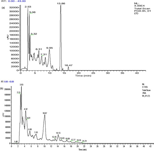 Figure 2. HPLC chromatograms of the decoction of R. montana with (a) gastric and (b) pancreatic juices.