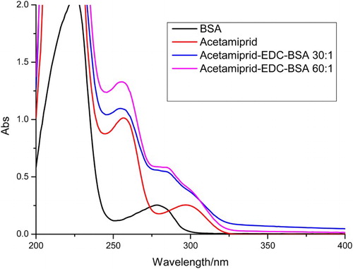 Figure 2. The UV spectra characterization for AC-BSA, AC, and BSA.