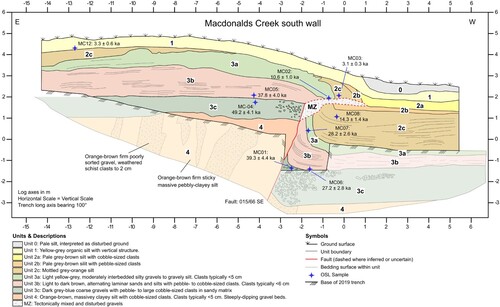 Figure 7. Log of the Macdonalds Creek trench’s south wall, incorporating observations from the 2019 trench (upper units, Figure 6) and 1984 trench (lower units with fainter colours from Figure S1; Beanland Citation1984; Beanland and Barrow-Hurlbert Citation1988).