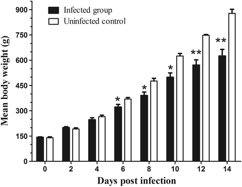 Fig. 7 Histogram showing the average body weights of infected and control goslings.All values are presented as the mean body weight ± SD. P-values were calculated using Student’s t-test. *p < 0.05; **p < 0.01