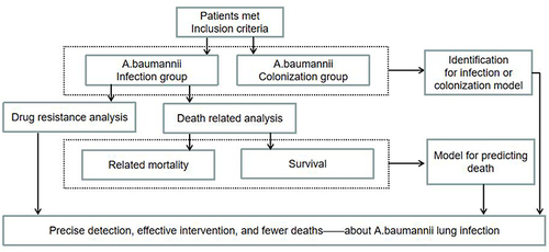 Figure 1 The flow chart of this study.