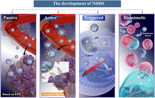 Figure 2 Generations of LVN-based nano-drug delivery system.The four stages was passive, active, triggered and biomimetic target.