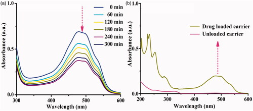 Figure 6. UV–vis spectrum (a) encapsulation efficiency and (b) loading capacity of DOX/5-ALA-CQD-BOC-Glu-β-CD nanocarrier.