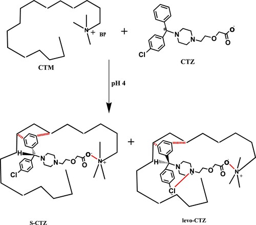 Scheme 2. Postulation of chiral separation mechanism of CTZ in achiral medium using the CTM-based mobile phase at pH 4.