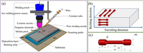 Figure 1. (a) Sketch of the WAAM setup; (b) Sampling positions for tensile testing; (c) Specimen dimensions for tensile testing.