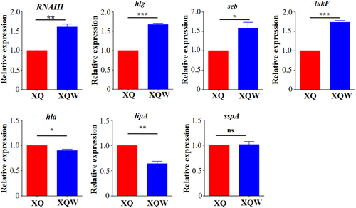 Fig. 3 Expression levels of virulence genes (RNAIII, hlg, seb, lukF, hla, lipA, and sspA) in XQ and XQW determined by RT-qPCR.Expression of each gene of interest in XQ strain was normalized to the 16S RNA gene expression and adjusted to 1.0, and its relative expression in XQW strain was indicated. *P < 0.05, **P < 0.01, ***P < 0.001, and ns represents no significance, n = 3