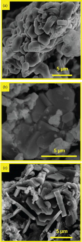 Figure 2. SEM images (secondary electron mode) of, (a) Zr2(Al0.2Sn0.8)C, (b) Zr2(Al0.3Sb0.7)C and (c) Zr2(Al0.35Pb0.65)C. In (a) according to EDX the shown grains only consist of Zr2(Al0.2Sn0.8)C (secondary phases present elsewhere). In (b) and (c) the darker contrast plate grains are respectively Zr2(Al0.3Sb0.7)C and Zr2(Al0.35Pb0.65)C, while the lighter surrounding grains are various secondary phases (see Table 1). All images are for a reaction temperature of 1300°C (10 h dwelling).